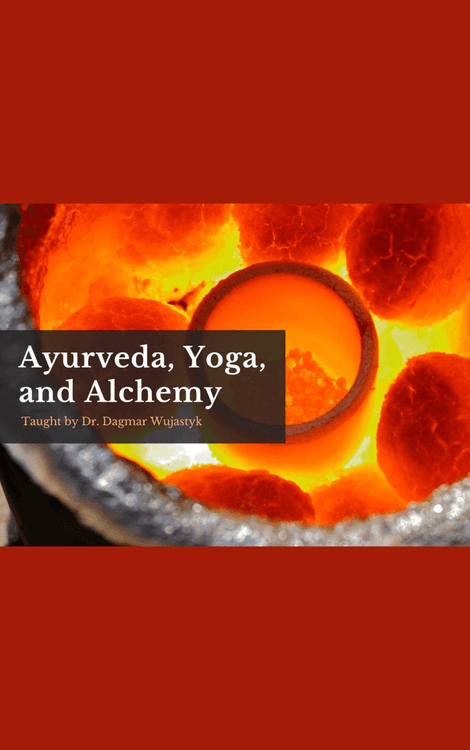 Ayurveda and Alchemy with Dagmar Wujastyk