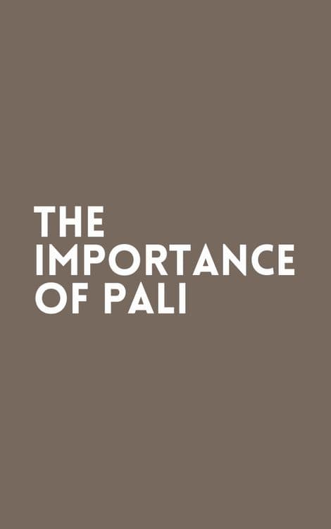 The Importance of Pali with Aleix Ruiz-Falqués