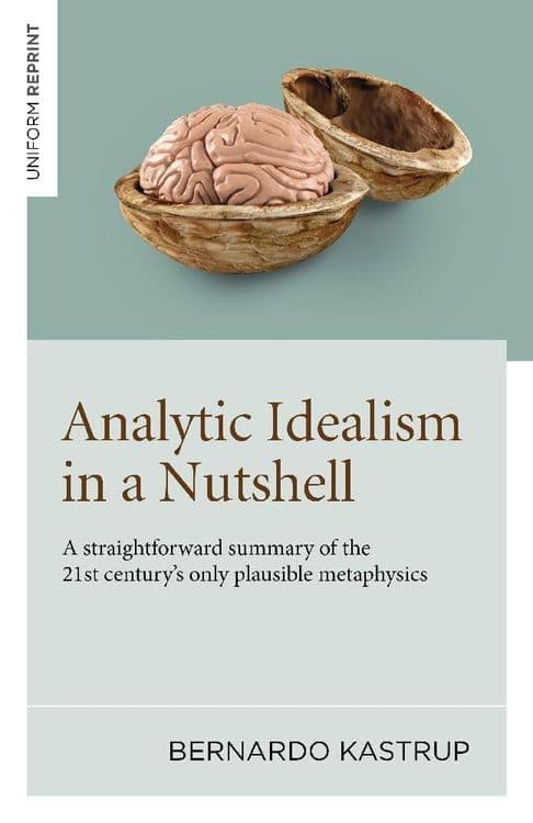 Analytic Idealism in a Nutshell with Bernardo Kastrup