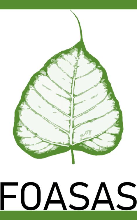 Open Access Publishing with Dominik A. Haas